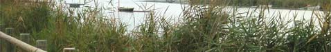 Arrangement residential sector in Cullera